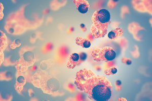Cancer Focus Obesity