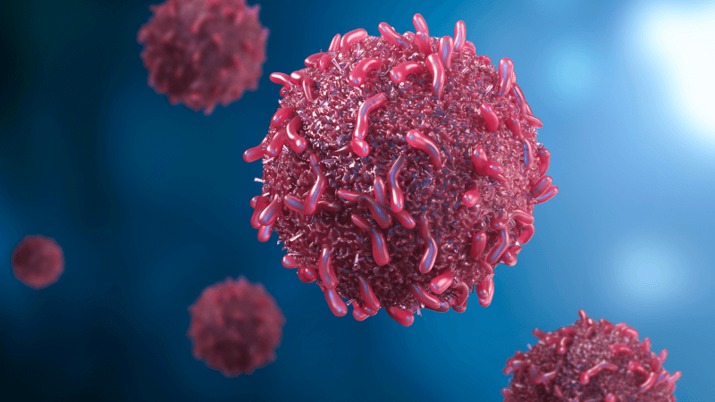 What is Denvax Dendritic Cell Immunotherapy