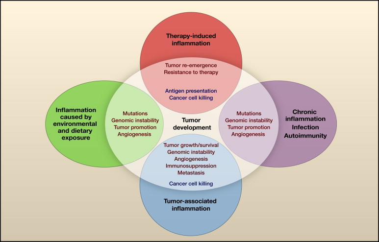 Cancer is closely associated with inflammation