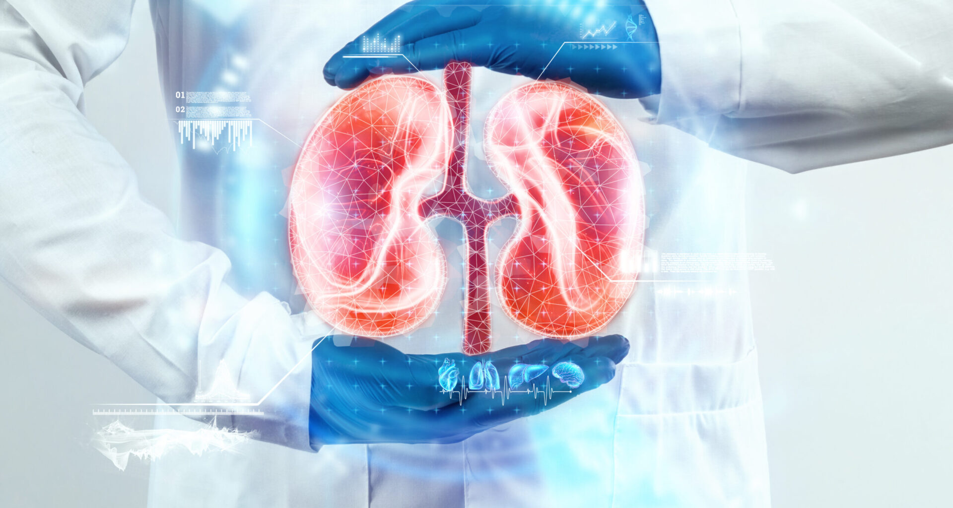 doctor looks kidney hologram checks test result virtual interface analyzes data kidney disease stones innovative technologies medicine future scaled 1