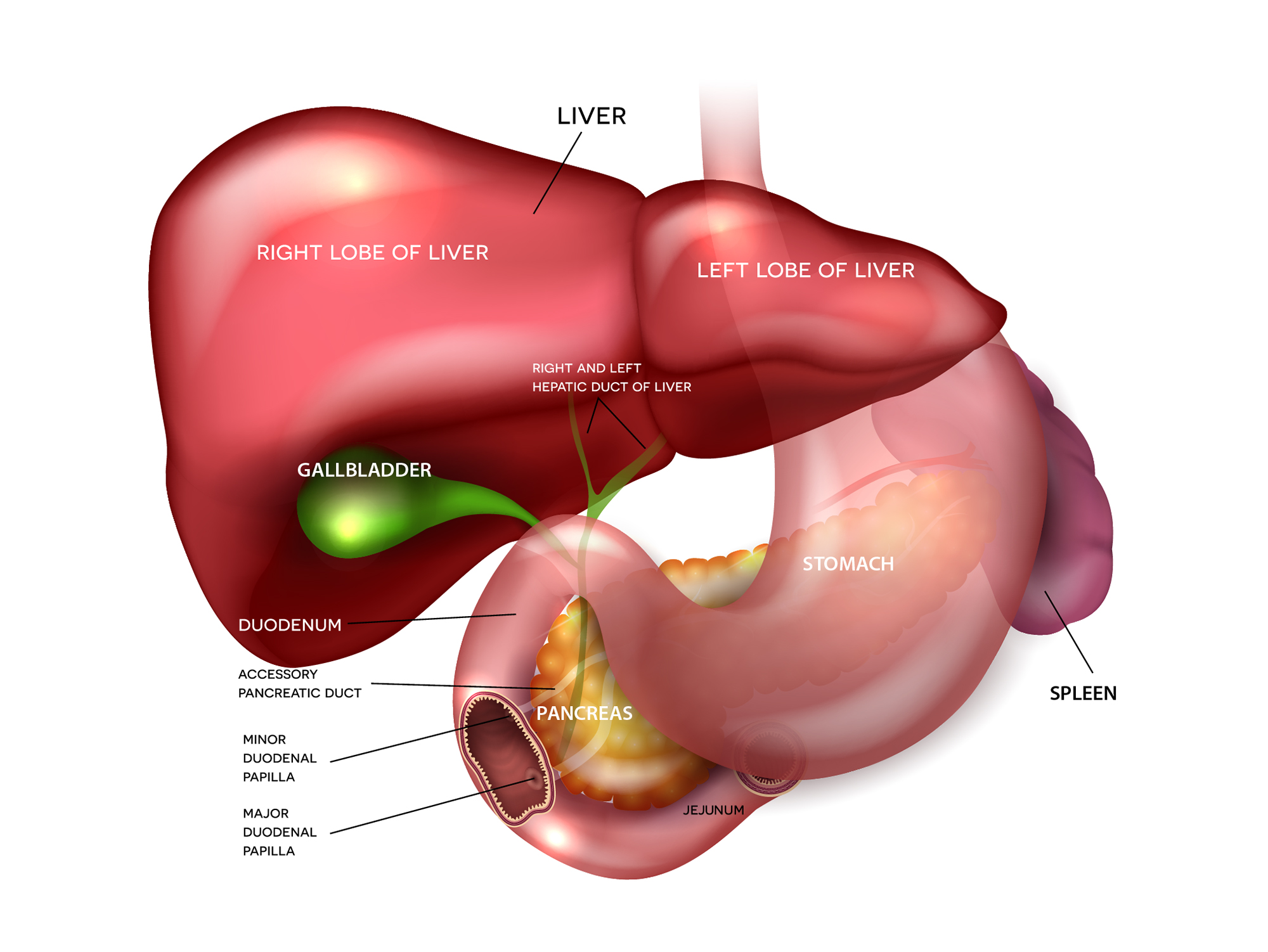 gallbladder cancer treatment