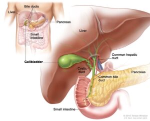 gallbladder cancer treatment