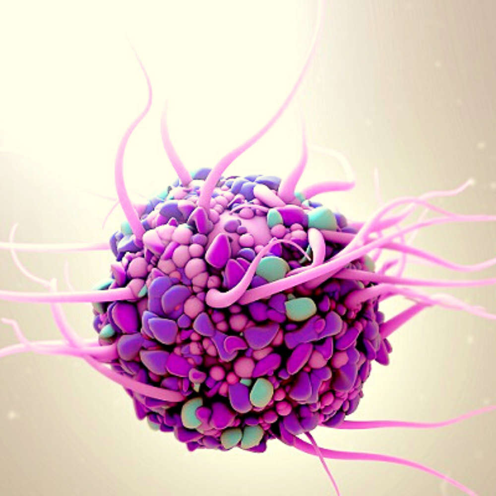 Dendritic Cell from close