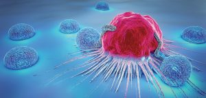 56602 CHFa 18 042.jpg 5dc71507 e2c0 495c 9fe5 35c68961a540 x2