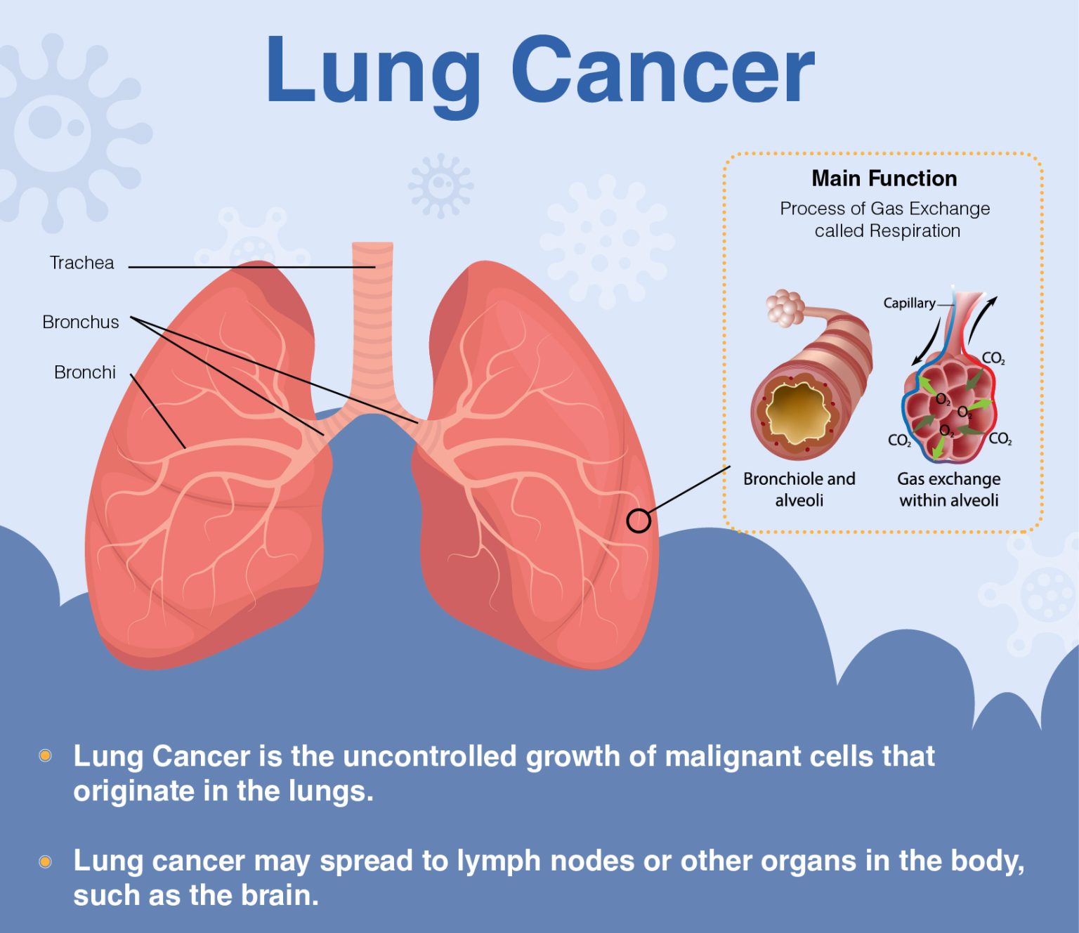Immunotherapy For Stage 4 Lung Cancer | Denax