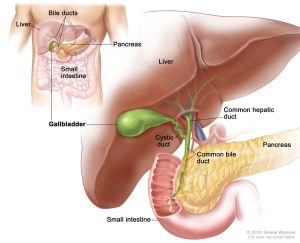 gallbladder cancer treatment