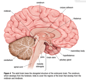 Nl5Ki4iQK5T NMEn9BmT