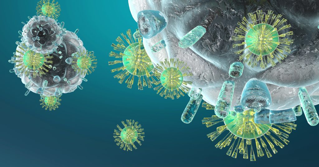 04 Blog Immune System L