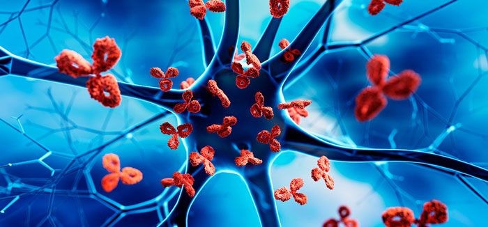 Blog Immune System 1