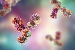 Monoclonal Antibodies