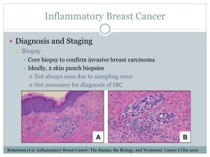 inflammatory breast cancer15 l