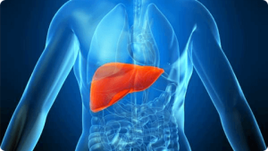 Liver Cancer Treatment Cost in India