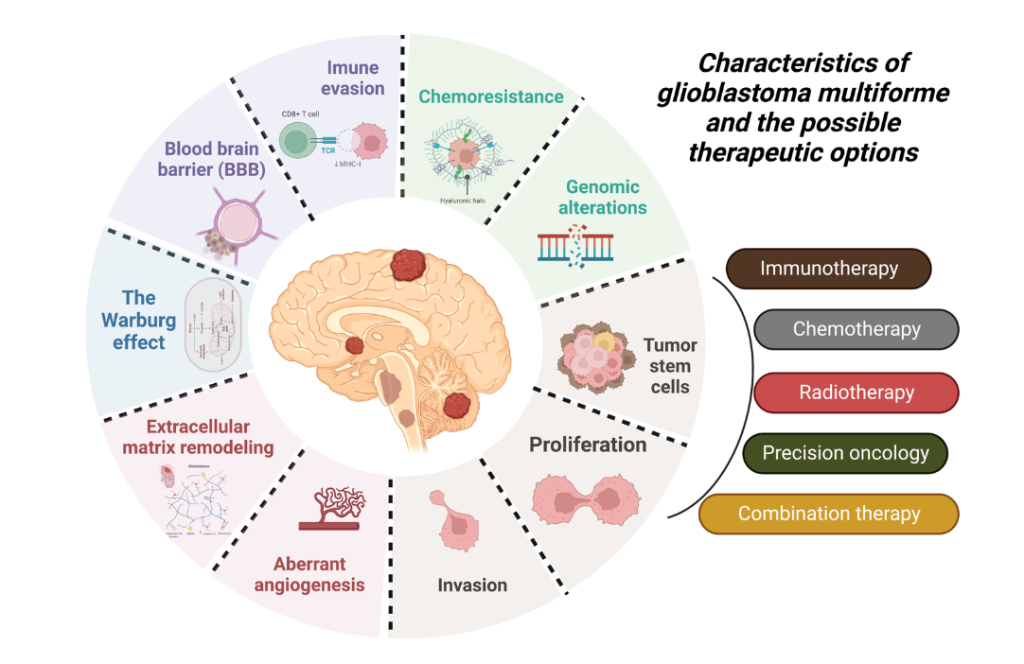 Unmasking Glioblastoma : The Most Aggressive Brain Cancer