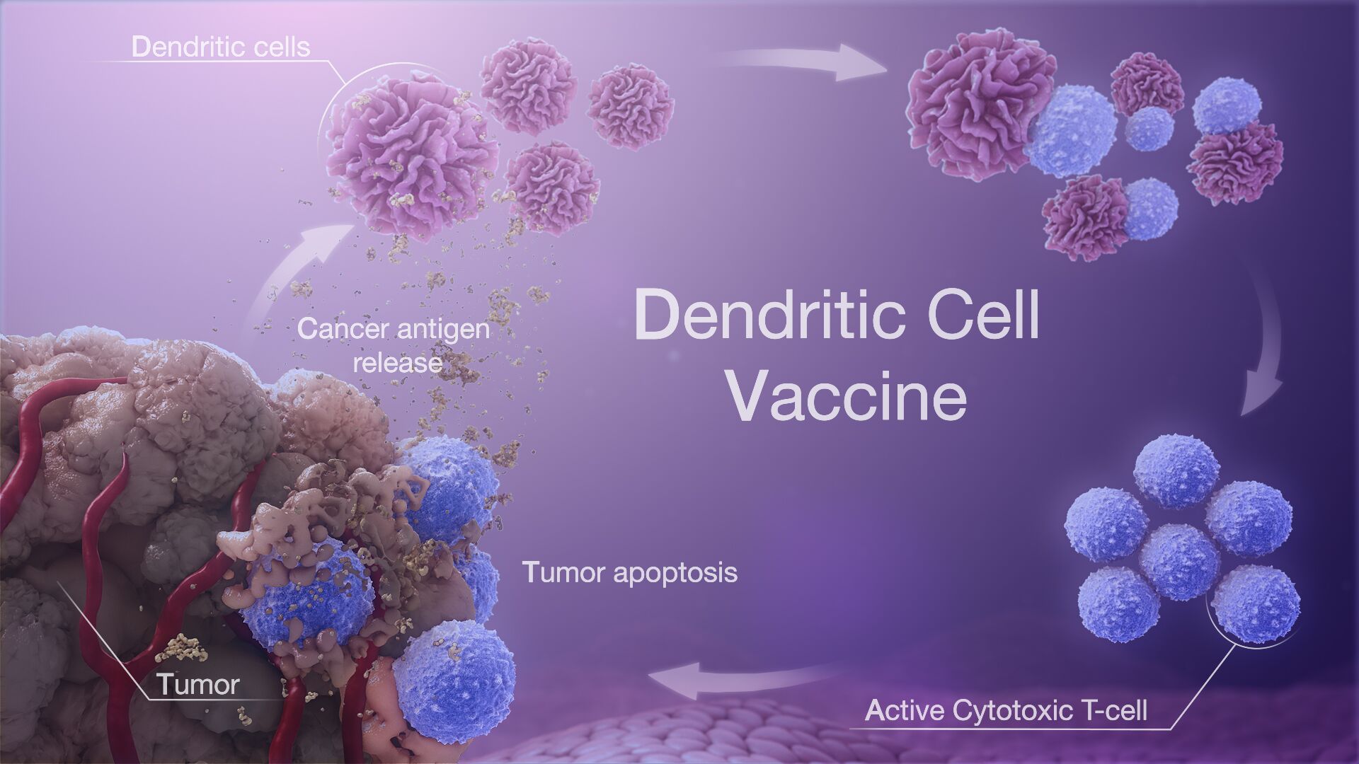 Dendritic Cell Therapy