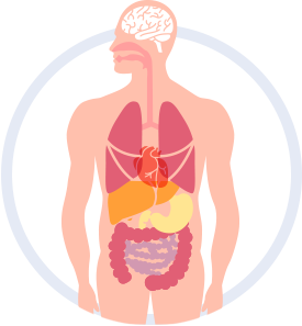 Denvax T Cell Immunotherapy Process