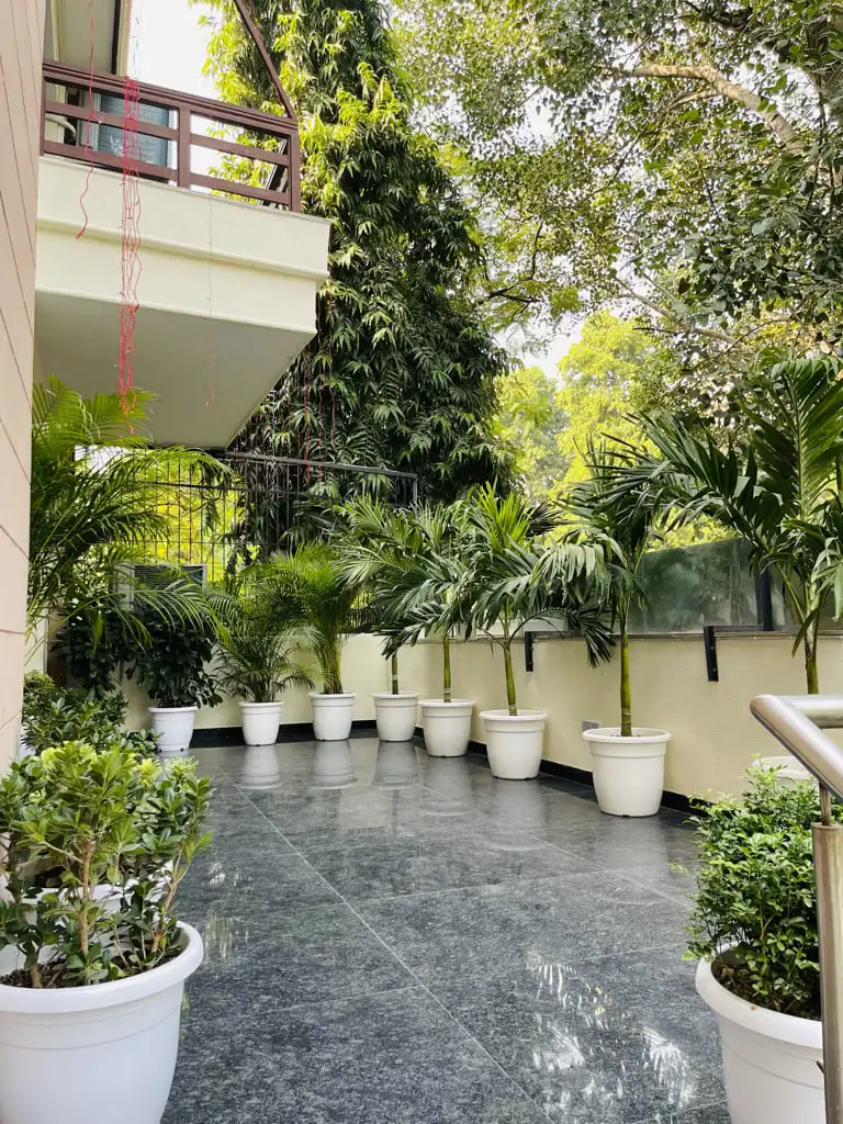 Denvax Patient gallery15