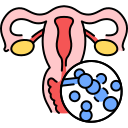 ANAL CANCER