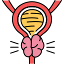 ANAL CANCER